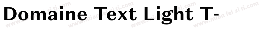 Domaine Text Light T字体转换